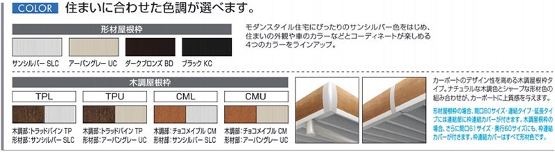 本体カラー